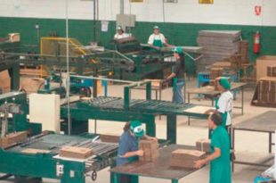 Auxiliar de Produção