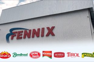 Distribuidora Fennix