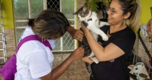Foto: Divulgação/Semsa